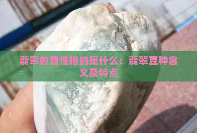 翡翠的豆性指的是什么：翡翠豆种含义及特点