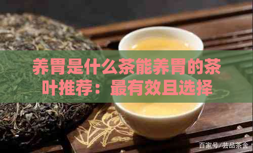 养胃是什么茶能养胃的茶叶推荐：最有效且选择