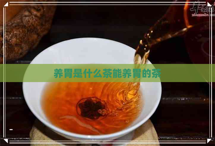 养胃是什么茶能养胃的茶