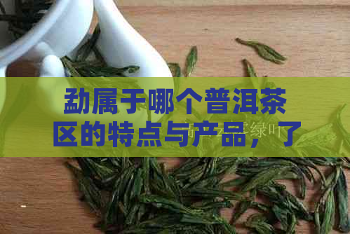 勐属于哪个普洱茶区的特点与产品，了解勐的茶区归属