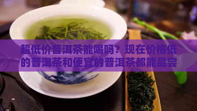 超低价普洱茶能喝吗？现在价格低的普洱茶和便宜的普洱茶都能品尝到美味吗？