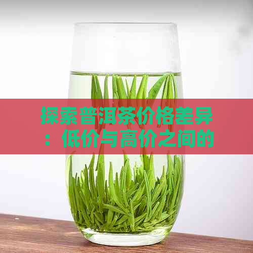 探索普洱茶价格差异：低价与高价之间的奥秘