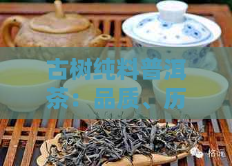 古树纯料普洱茶：品质、历与独特魅力的深度解析