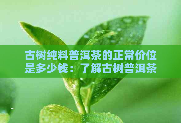 古树纯料普洱茶的正常价位是多少钱：了解古树普洱茶价格区间。