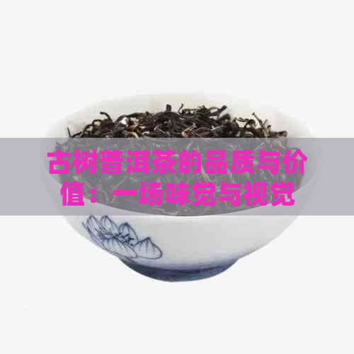 古树普洱茶的品质与价值：一场味觉与视觉的宴