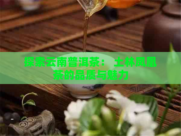 探索云南普洱茶： 土林凤凰茶的品质与魅力