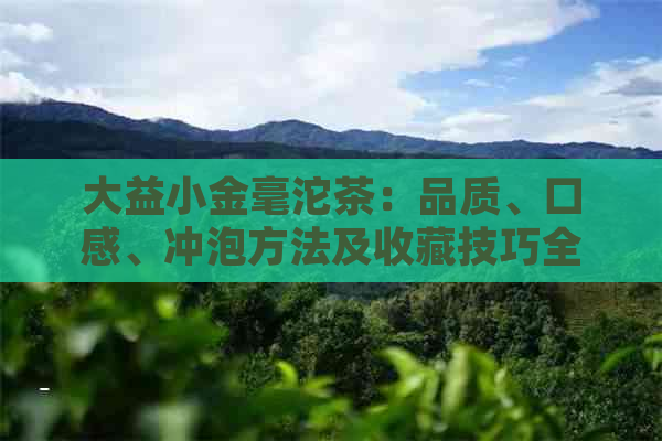 大益小金毫沱茶：品质、口感、冲泡方法及收藏技巧全面解析