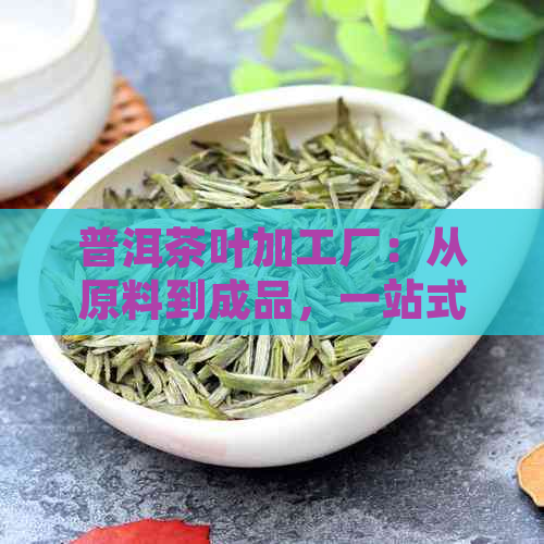 普洱茶叶加工厂：从原料到成品，一站式了解普洱茶制作过程及品质保证