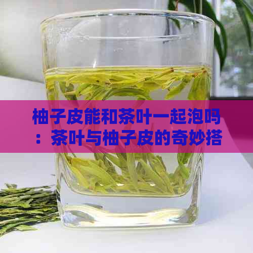 柚子皮能和茶叶一起泡吗：茶叶与柚子皮的奇妙搭配。