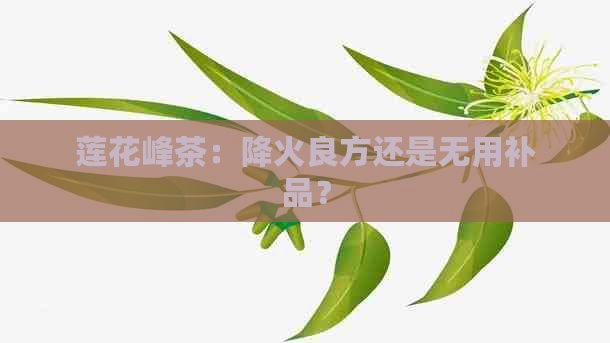 莲花峰茶：降火良方还是无用补品？