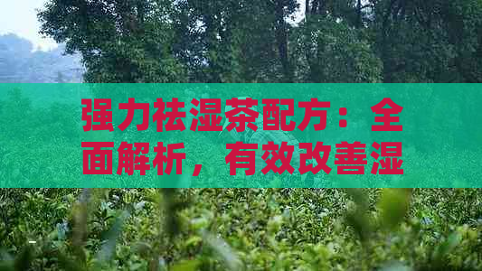 强力祛湿茶配方：全面解析，有效改善湿气问题及提供详细制作方法