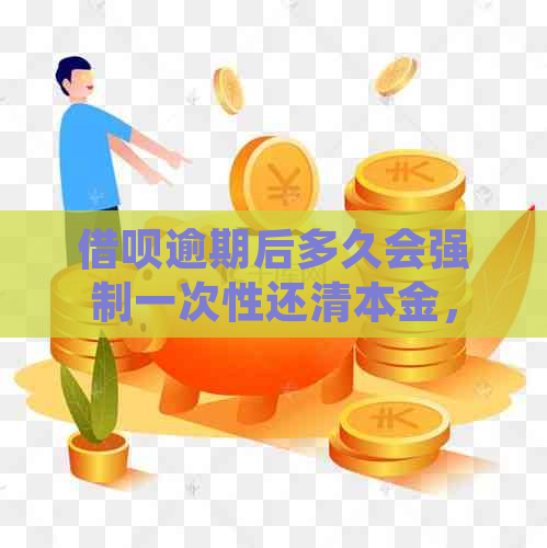 借呗逾期后多久会强制一次性还清本金，具体规定与处理方式解析