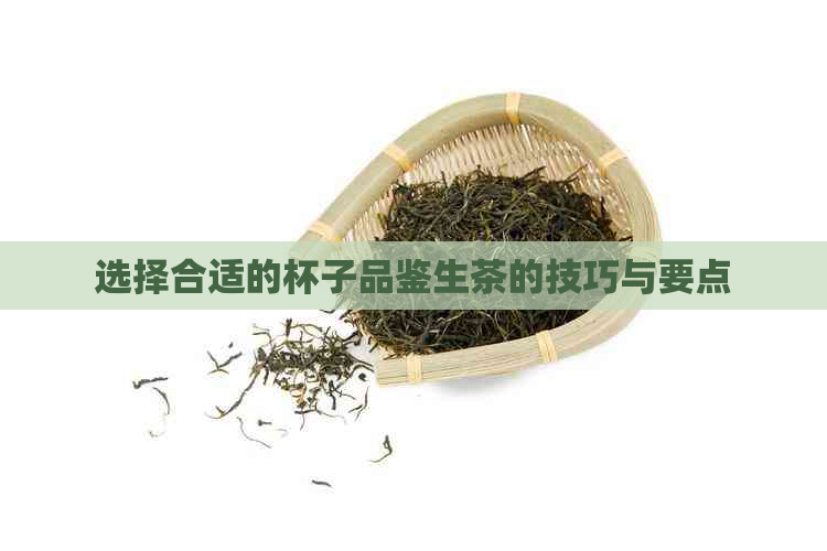 选择合适的杯子品鉴生茶的技巧与要点