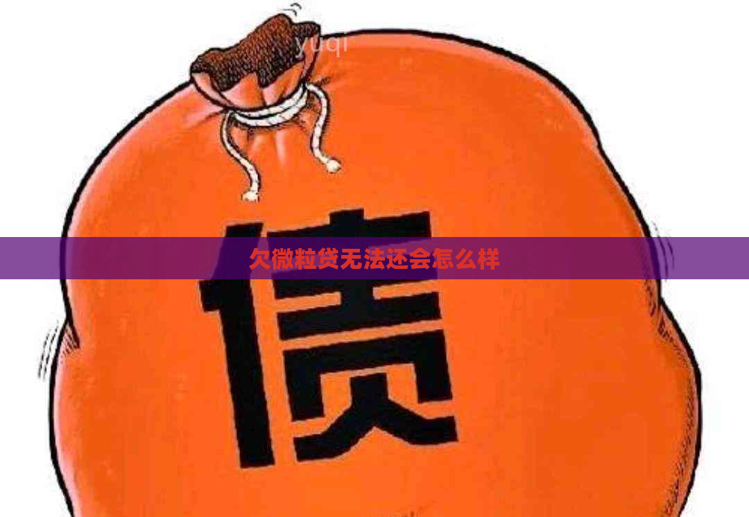 欠微粒贷无法还会怎么样