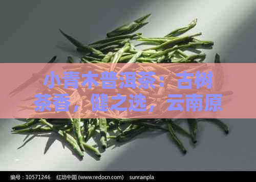 小青木普洱茶：古树茶香，健之选，云南原产地，独特风味