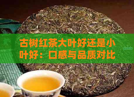 古树红茶大叶好还是小叶好：口感与品质对比分析