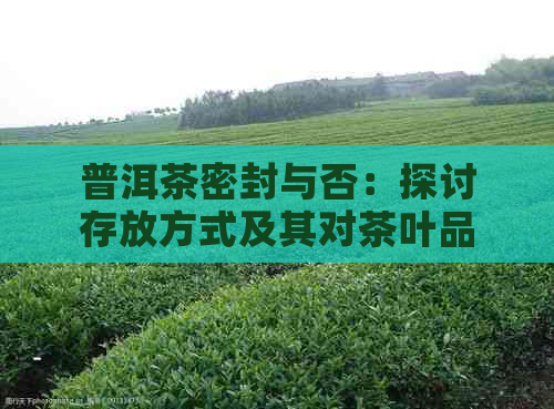 普洱茶密封与否：探讨存放方式及其对茶叶品质的影响