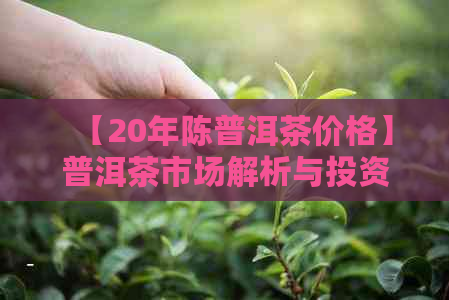 【20年陈普洱茶价格】普洱茶市场解析与投资建议