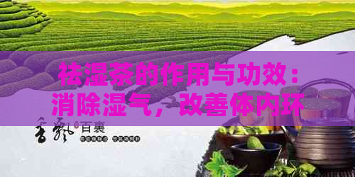 祛湿茶的作用与功效：消除湿气，改善体内环境