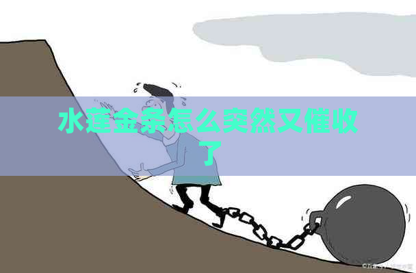 水莲金条怎么突然又了