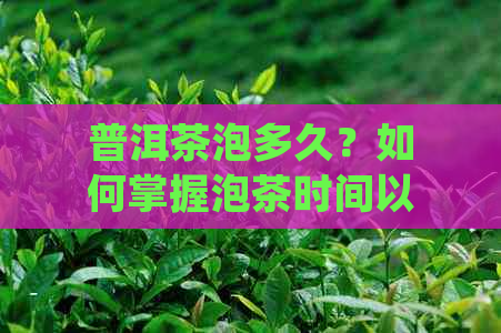 普洱茶泡多久？如何掌握泡茶时间以获得口感？