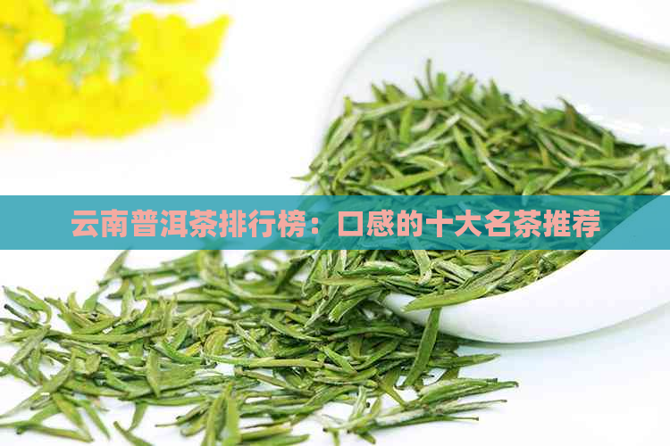 云南普洱茶排行榜：口感的十大名茶推荐