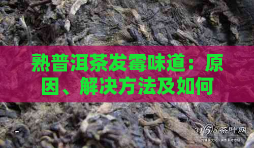 熟普洱茶发霉味道：原因、解决方法及如何辨别真伪