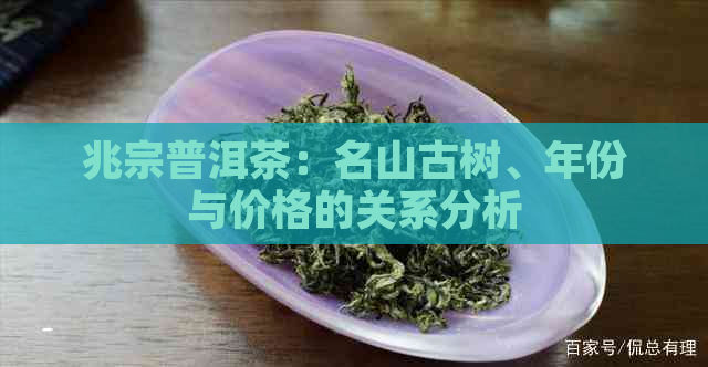 兆宗普洱茶：名山古树、年份与价格的关系分析