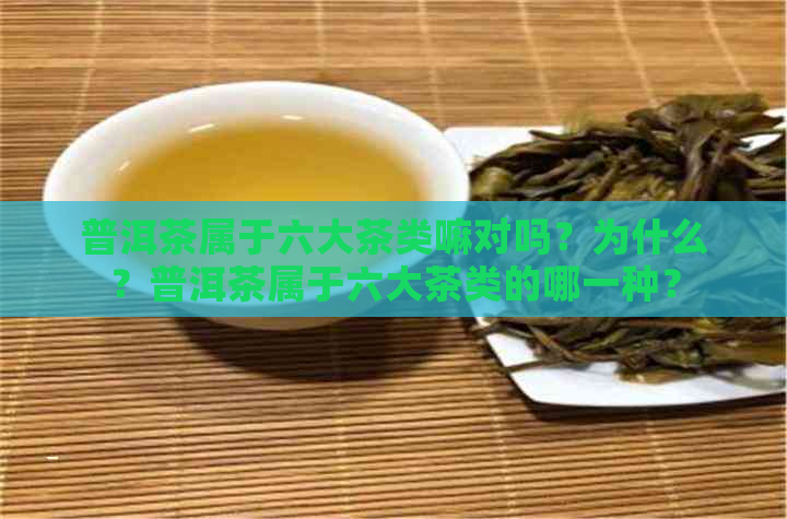 普洱茶属于六大茶类嘛对吗？为什么？普洱茶属于六大茶类的哪一种？