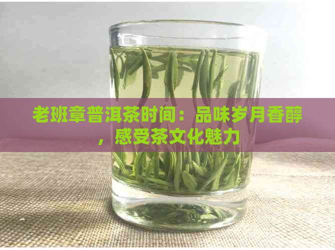 老班章普洱茶时间：品味岁月香醇，感受茶文化魅力