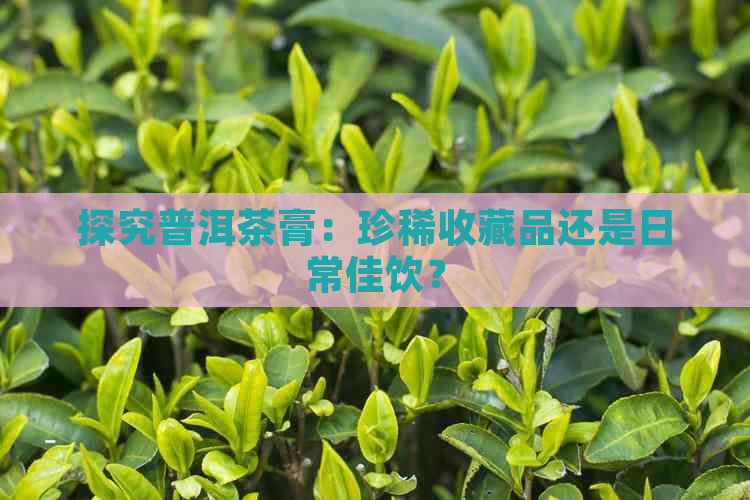 探究普洱茶膏：珍稀收藏品还是日常佳饮？