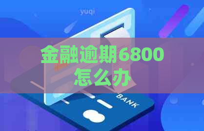 金融逾期6800怎么办