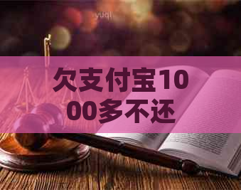 欠支付宝1000多不还