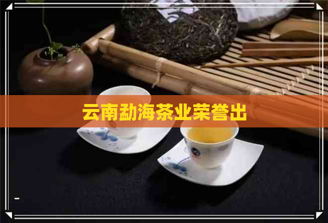 云南勐海茶业荣誉出