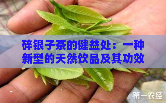 碎银子茶的健益处：一种新型的天然饮品及其功效分析