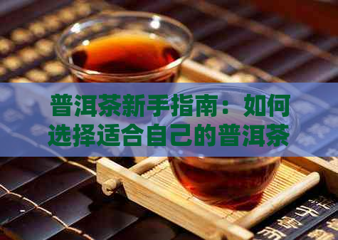 普洱茶新手指南：如何选择适合自己的普洱茶种类？