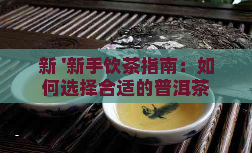 新 '新手饮茶指南：如何选择合适的普洱茶'