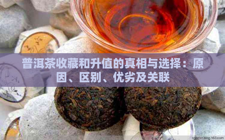 普洱茶收藏和升值的真相与选择：原因、区别、优劣及关联