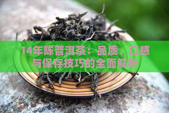 14年陈普洱茶：品质、口感与保存技巧的全面解析