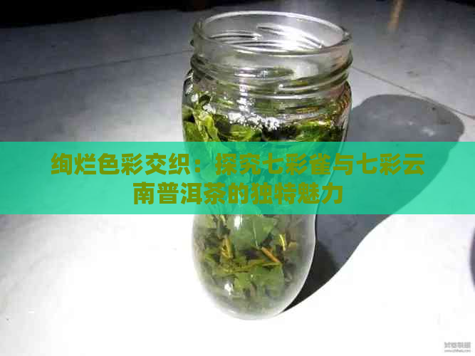 绚烂色彩交织：探究七彩雀与七彩云南普洱茶的独特魅力