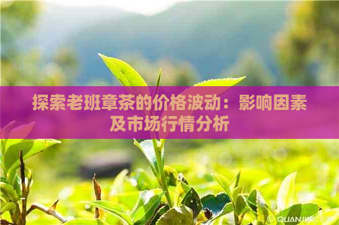 探索老班章茶的价格波动：影响因素及市场行情分析