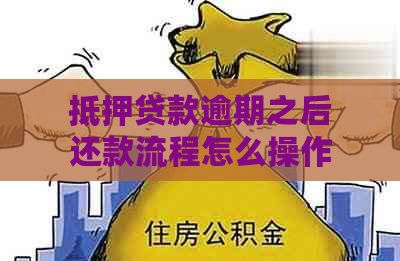 抵押贷款逾期之后还款流程怎么操作