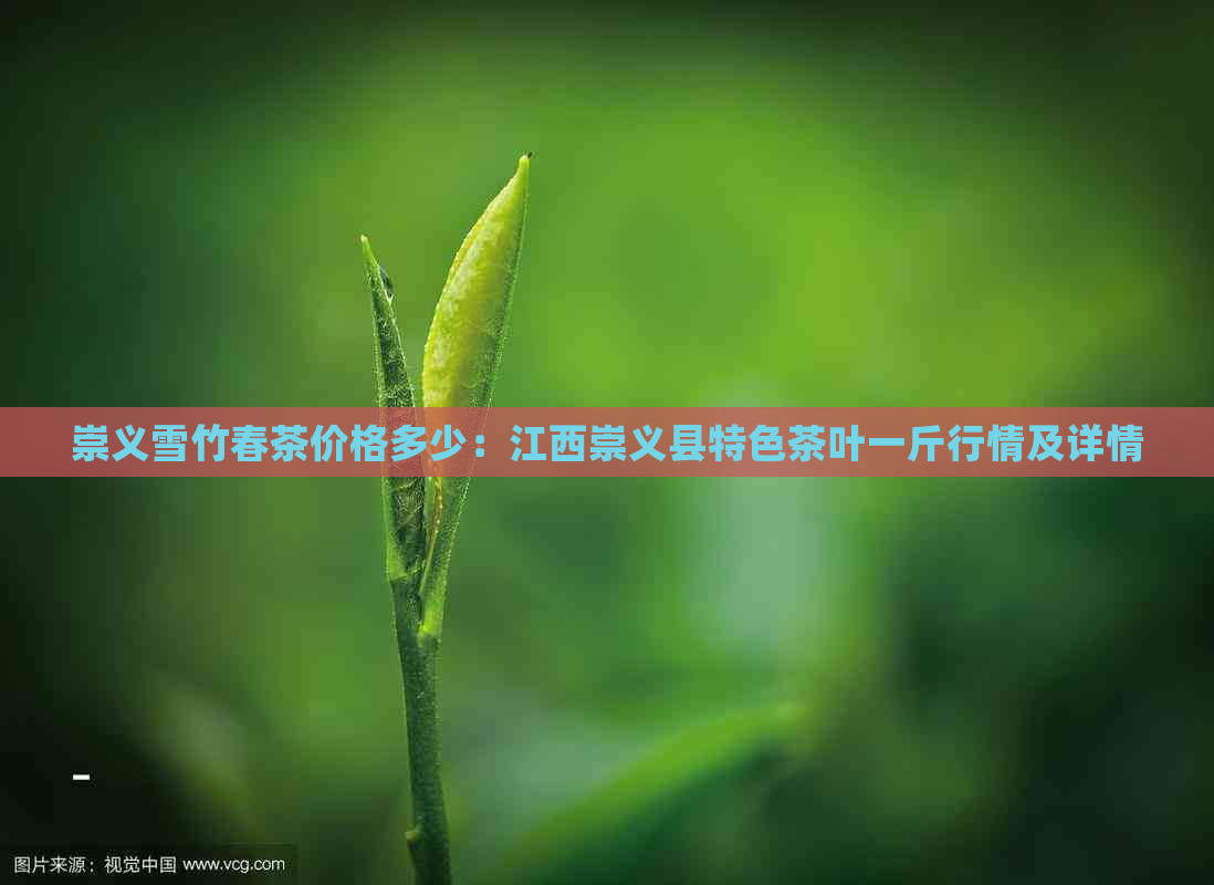 崇义雪竹春茶价格多少：江西崇义县特色茶叶一斤行情及详情