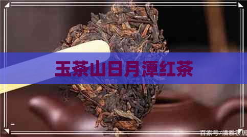 玉茶山日月潭红茶