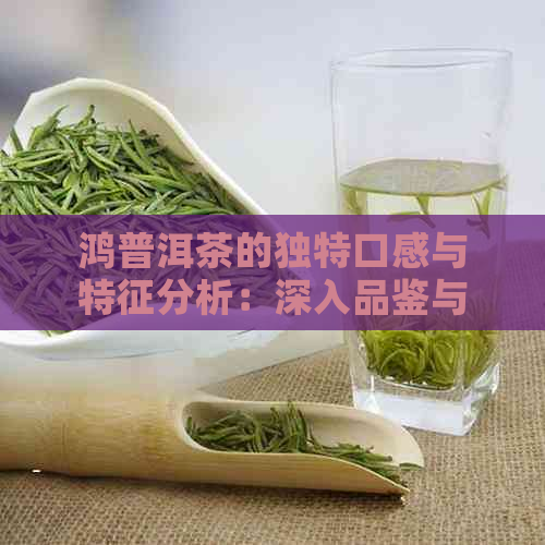 鸿普洱茶的独特口感与特征分析：深入品鉴与理解