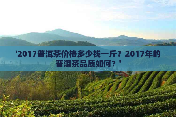 '2017普洱茶价格多少钱一斤？2017年的普洱茶品质如何？'