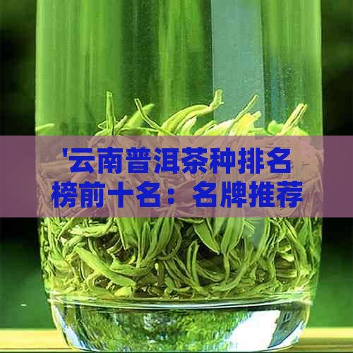 '云南普洱茶种排名榜前十名：名牌推荐'