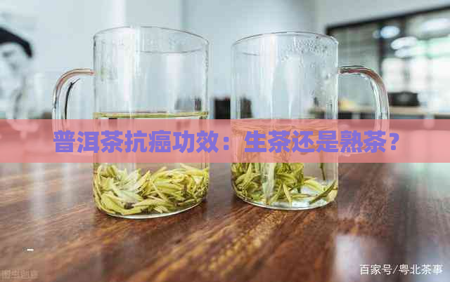 普洱茶抗癌功效：生茶还是熟茶？