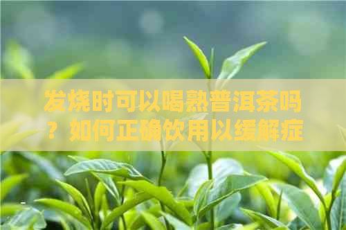 发烧时可以喝熟普洱茶吗？如何正确饮用以缓解症状？