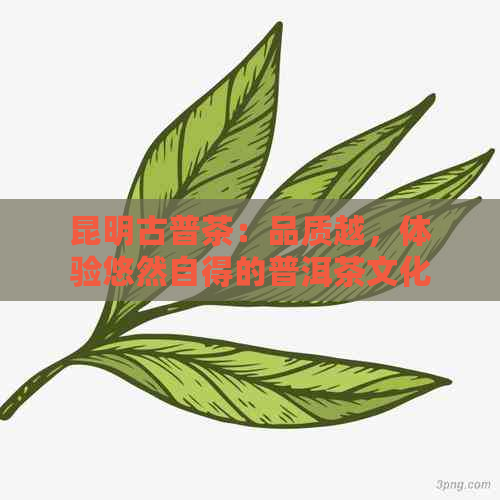 昆明古普茶：品质越，体验悠然自得的普洱茶文化之旅